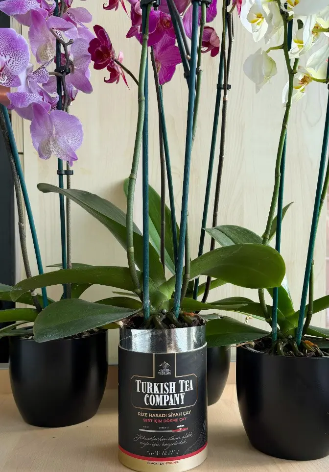 Sizden Gelenleri Sosyal Medyada Paylaşıyoruz.